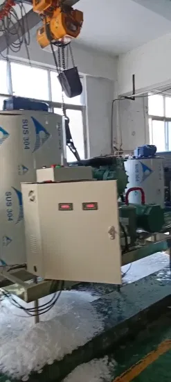 Máquina de fazer gelo em flocos de água do mar Lier de melhor qualidade para processamento de frutos do mar (5T/DIA)